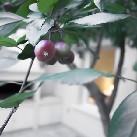 メンドーサ Casa Nobleヴィラ エクステリア 写真